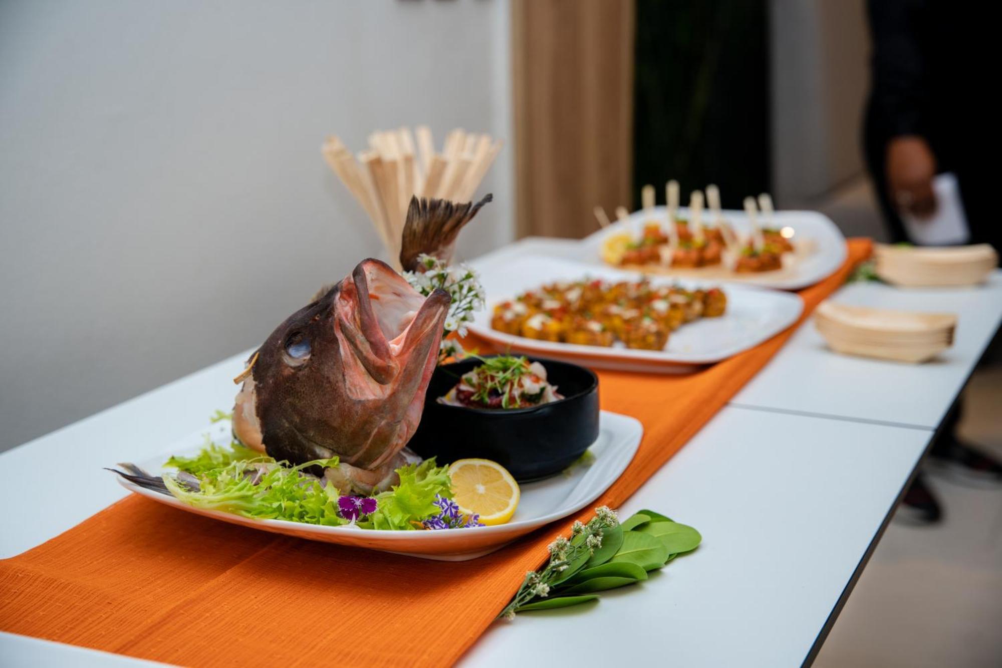 Apartamentos Roman Santo Domingo Zewnętrze zdjęcie