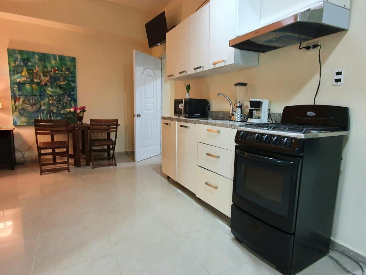 Apartamentos Roman Santo Domingo Zewnętrze zdjęcie